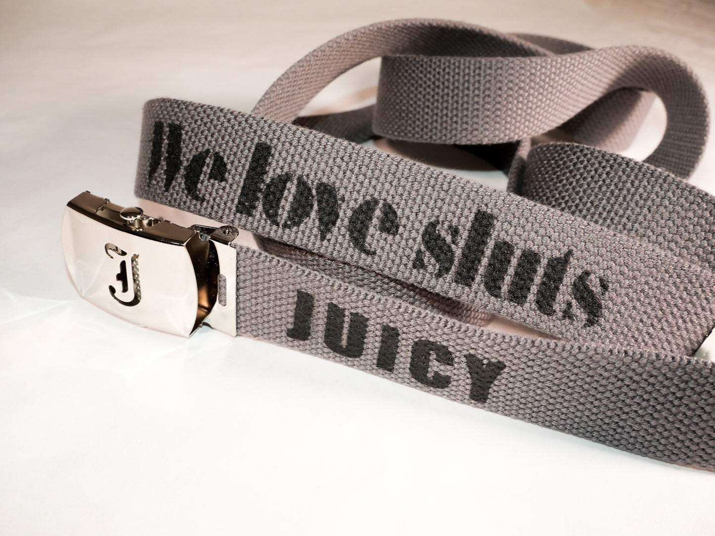 Juicy belt. 70 inch long woven web belt with silver buckle and metal tips. Reversible Dirty Futon Girl logo and We Love Sluts screenprint.