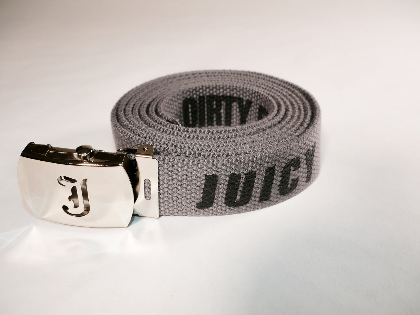 Juicy belt. 70 inch long woven web belt with silver buckle and metal tips. Reversible Dirty Futon Girl logo and We Love Sluts screenprint.