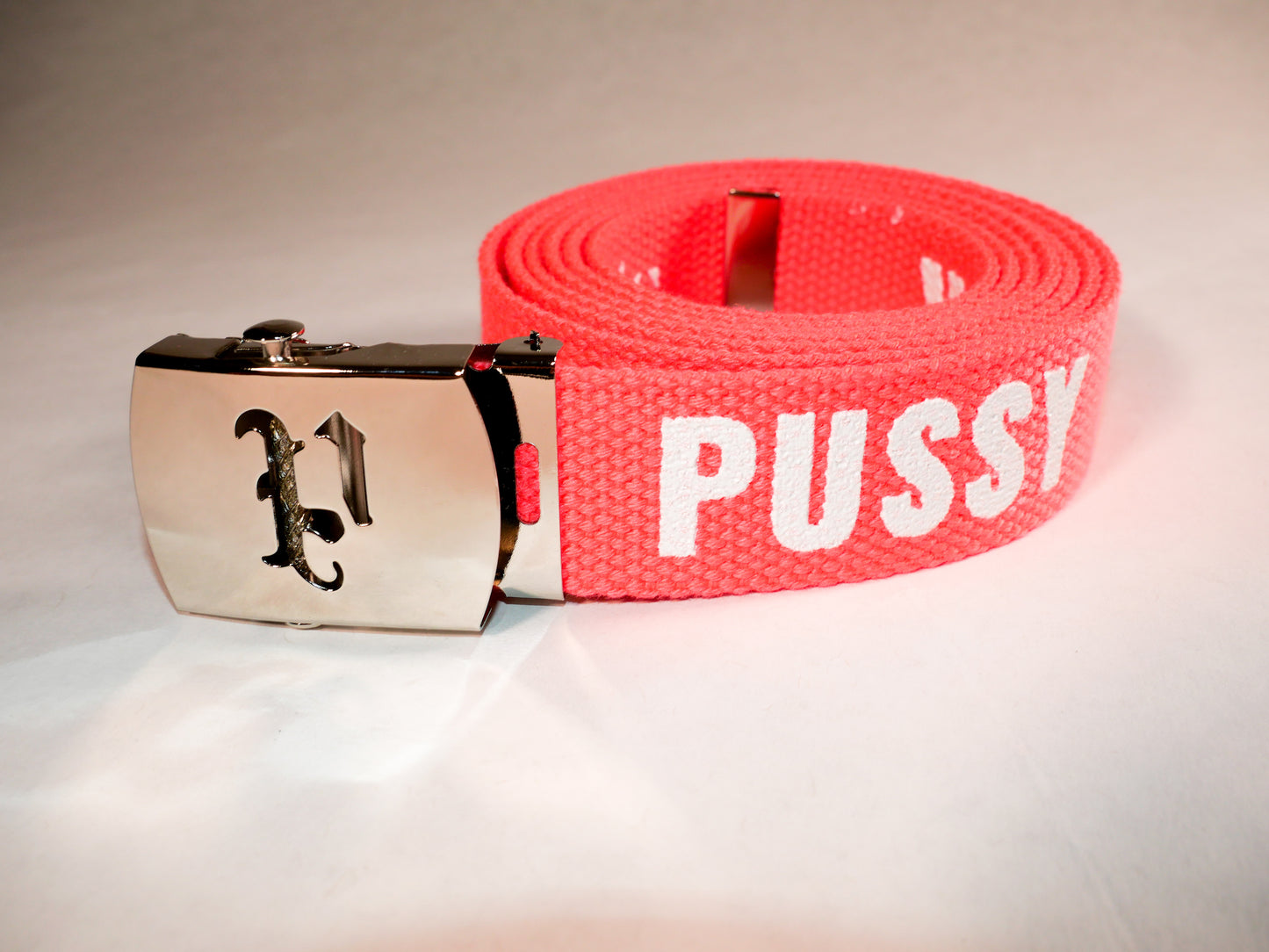 Pussy belt. 70 inch long woven web belt with silver buckle and metal tips. Reversible Dirty Futon Girl logo and We Love Sluts screenprint.