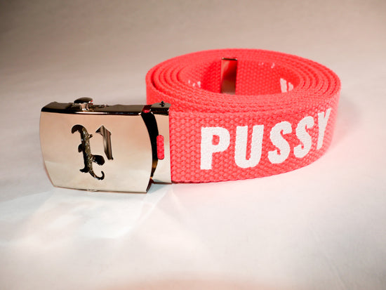 Pussy belt. 70 inch long woven web belt with silver buckle and metal tips. Reversible Dirty Futon Girl logo and We Love Sluts screenprint.